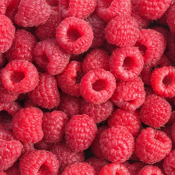 Frutos delicados cosechados con riguroso estándar